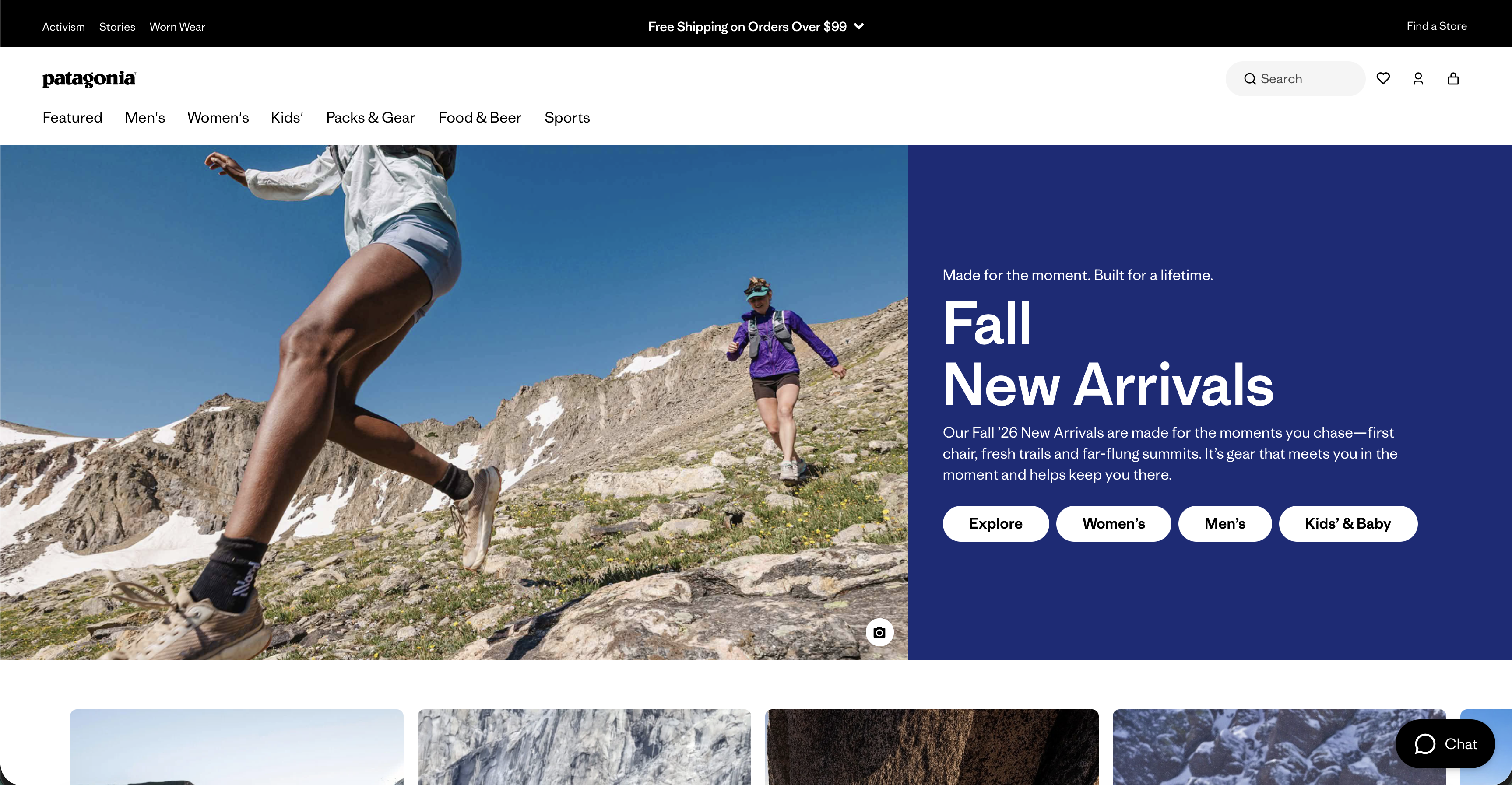 Patagonia website preview